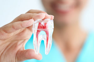 Comprehensive Dental Services in Oakville for All Your Needs 8 Root Canal Treatment
